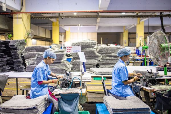 Quel est l'impact de la mode et de l'évolution de l'industrie textile sur la plante et pour les personnes qui travaillent dans les chaines de production ?